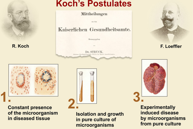 Postulat Koch yang telah disederhanakan oleh F. Loeffler