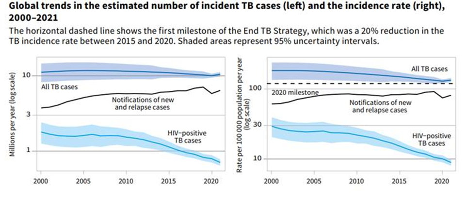 Tren penurunan kasus ko-infeksi TB-HIV dalam satu dekade terakhir