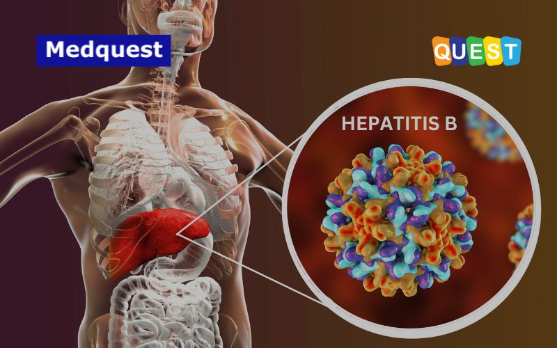 thumbnail Hepatitis B: Kenali Penyakitnya & Cegah Penularannya Data Seputar Hepatitis B & Langkah-Langkah yang Dilakukan