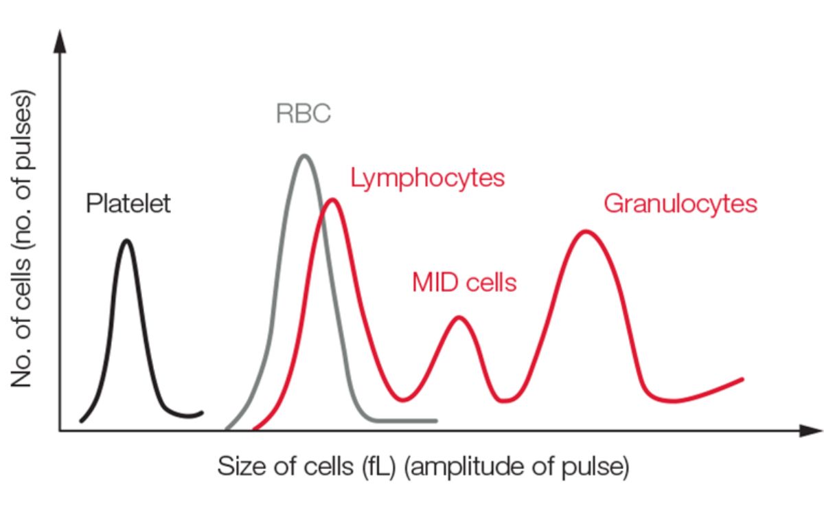 Hasil pengukuran 3 part diff dalam visualisasi histogram