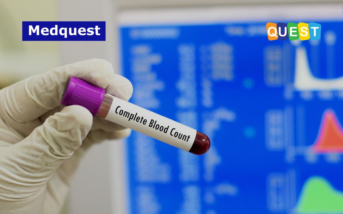 Pemeriksaan Darah Lengkap (CBC) 3 diff dan 5 diff, Apa Bedanya?