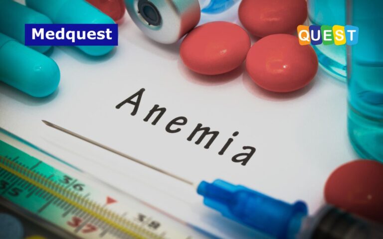 thumbnail Apa itu Anemia Gejala, Tipe, Prevalensi dan Penanganan