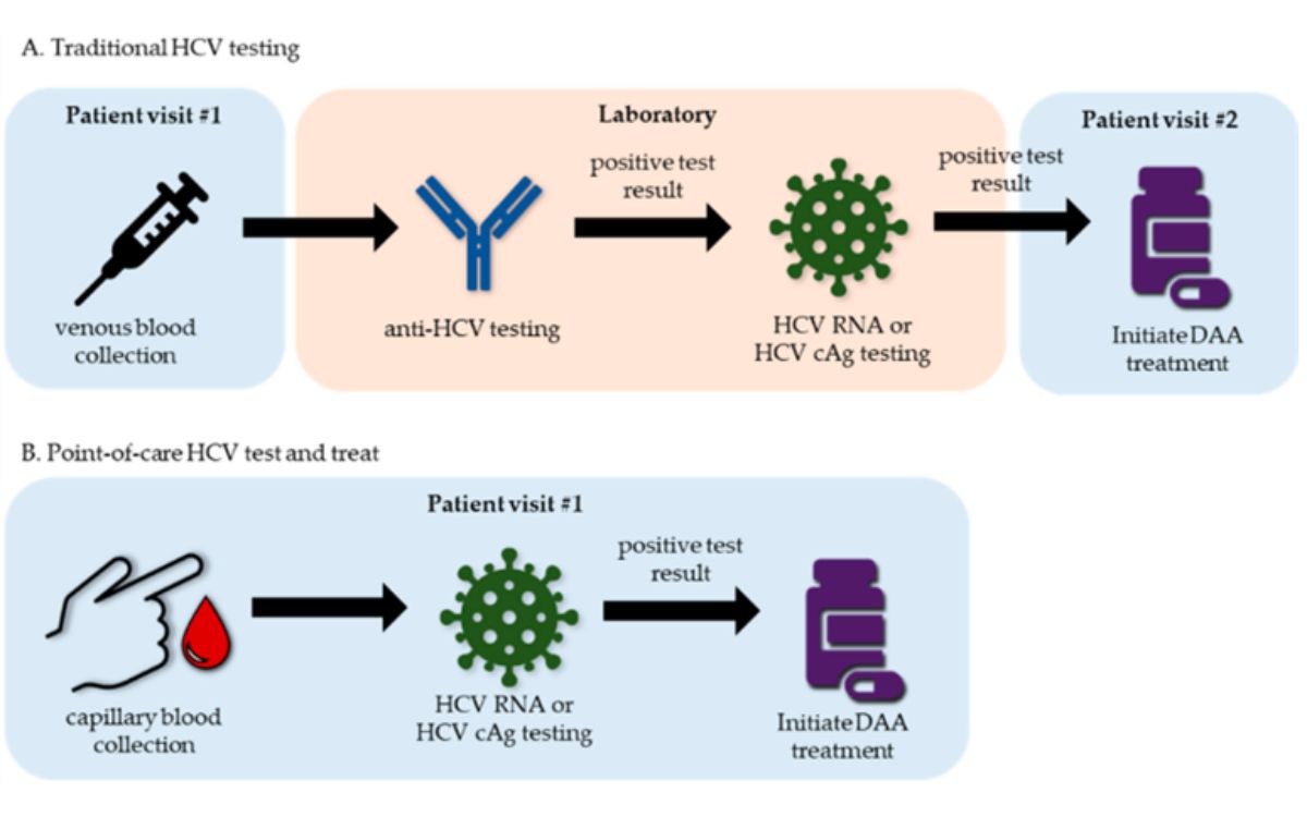 Perbandingan alur tes POCT HCV dengan tes HCV tradisional. Sumber: Multidisciplinary Digital Publishing Institute (MDPI).