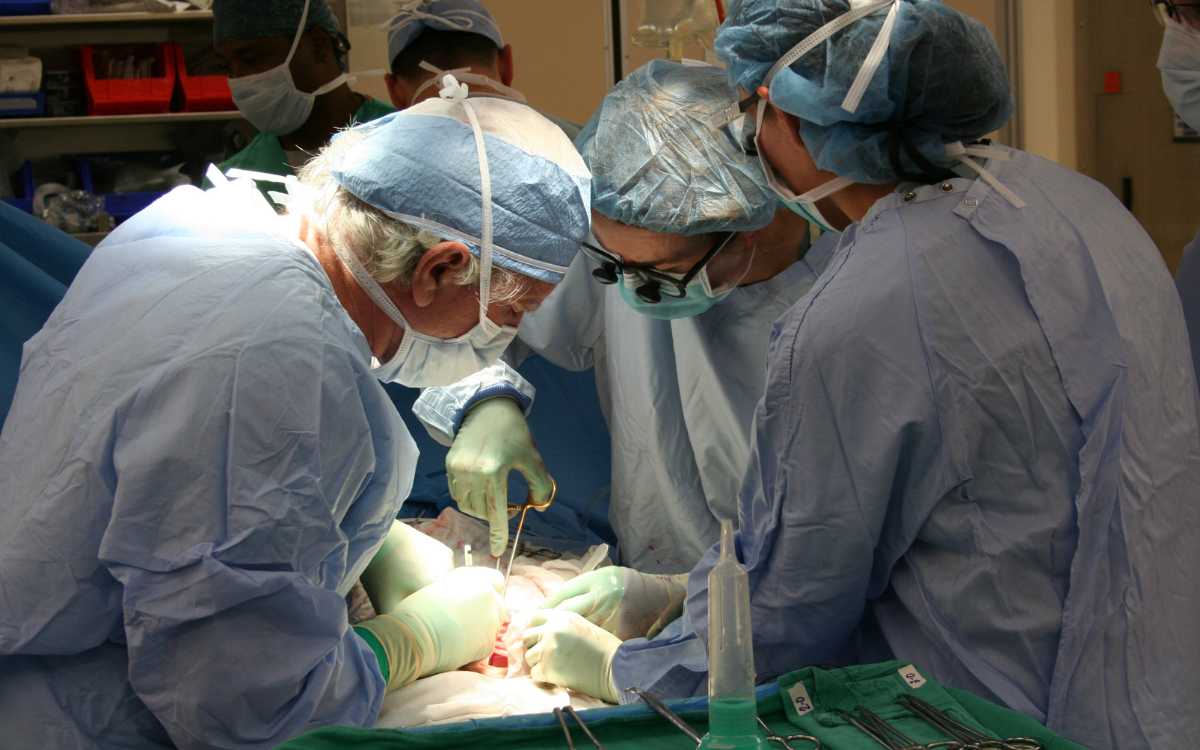 Ilustrasi prosesi operasi transplantasi hati.