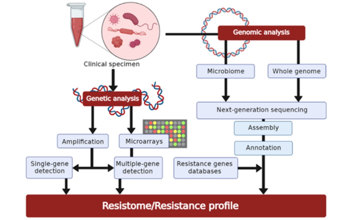Penggunaan teknologi PCR dan NGS untuk deteksi resistensi