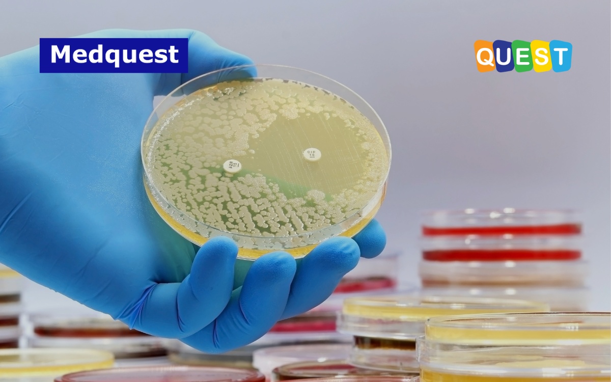 Thumbnail Skrining Resistensi Antimikroba di Rumah Sakit_Dampak Ekonomi dan Tantangan Penerapannya