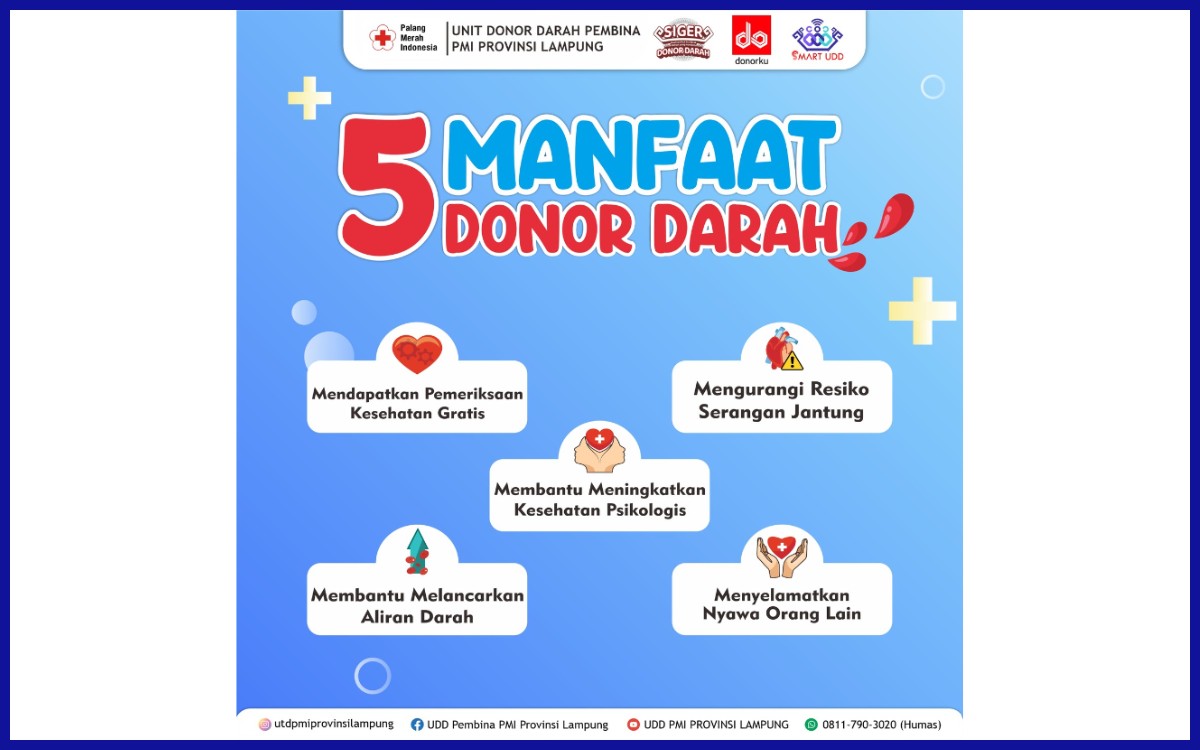 Infografis beberapa manfaat donor darah