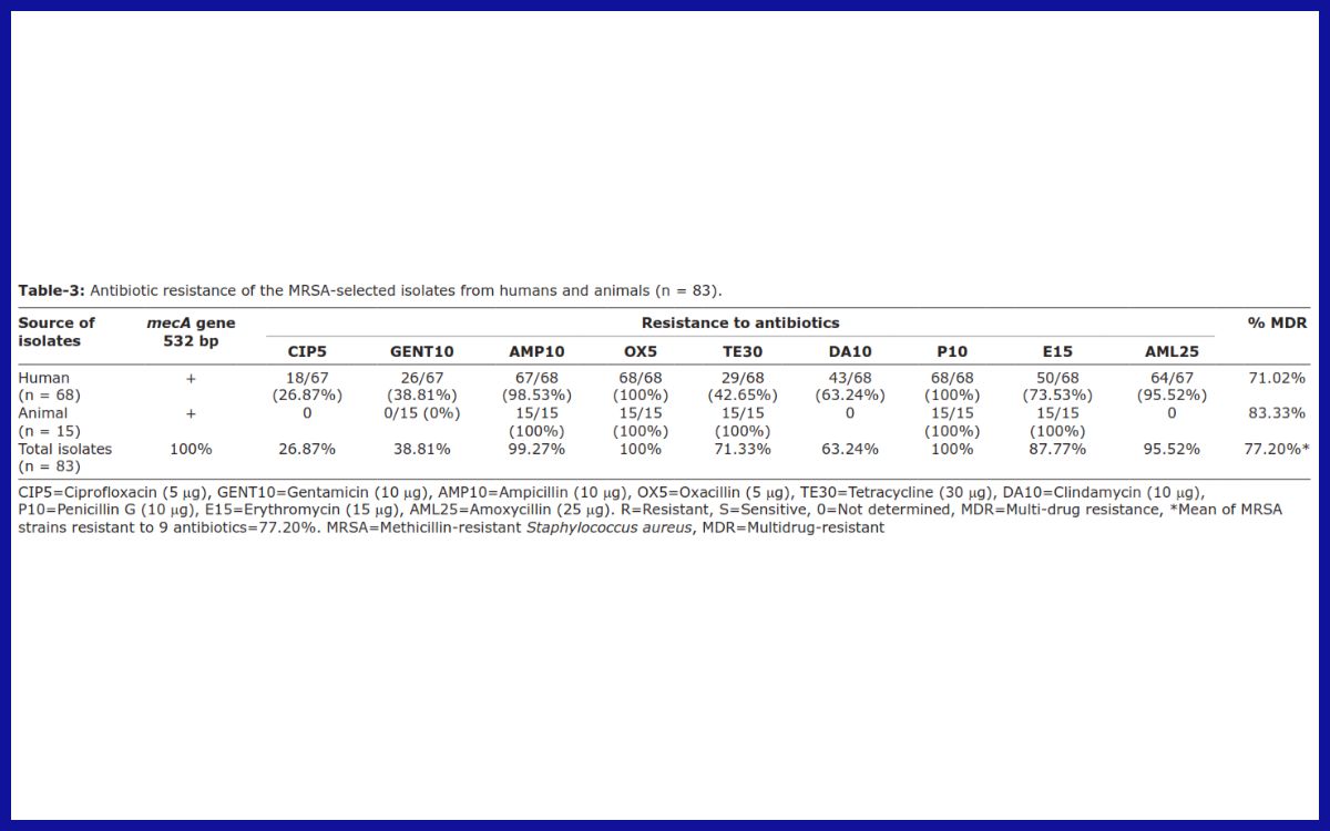 Tabel data resistensi antibiotik dari isolat MRSA yang dipilih dari manusia dan hewan.