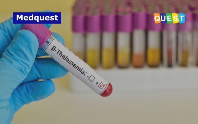 thumbnail Beta Talasemia Pemahaman Genetik, Terapi Terkini, dan Pentingnya Deteksi Dini