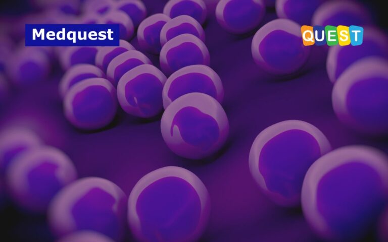 thumbnail Hari Kesadaran MRSA Sedunia Prevalensi, Tantangan Resistensi & Langkah Pencegahan